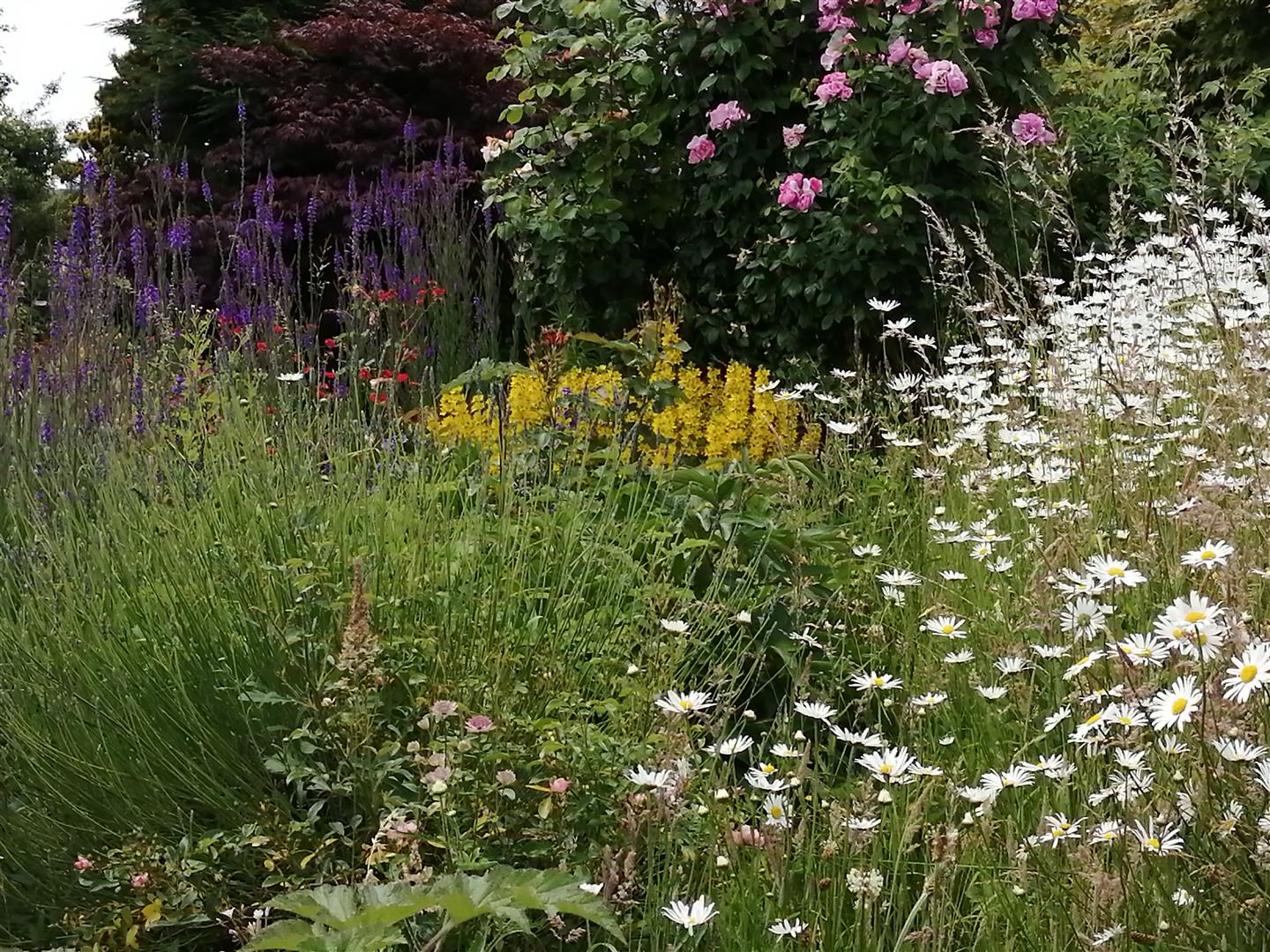 Silverdale Cottage Springbank Close, Oswestry, SY10 9DJ For Sale Silverdale Cottage Springbank Close, Oswestry, SY10 9DJ For Sale